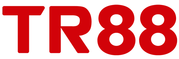 newseo