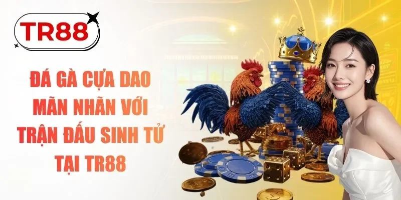 đá gà cựa dao