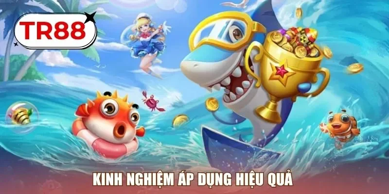 Kinh nghiệm áp dụng hiệu quả